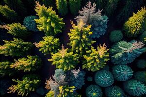 generativ ai Illustration von oben Nieder Aussicht von das Wald im Frühling. Frühling Landschaft im das Wald foto