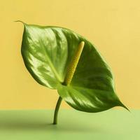 Grün Anthurium Blume isoliert auf ein Gelb Hintergrund, erzeugen ai foto