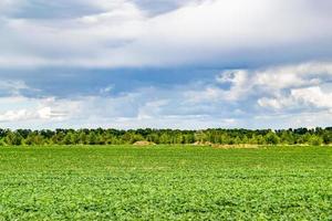 schöne horizontlandschaft in der dorfwiese auf natürlichem farbhintergrund foto