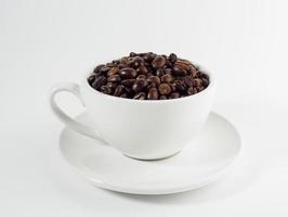 geröstet Arabica Kaffee Bohnen, bereit zu machen Kaffee Das Menschen mögen zu trinken. platziert im ein Weiß Kaffee Tasse auf das Hintergrund. sieht aus schön und appetitlich. trinken. foto