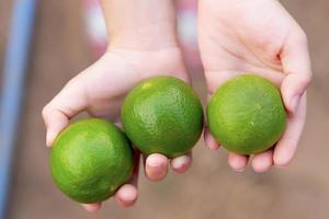 frisch Limette Obst isoliert auf Weiß Hintergrund. foto