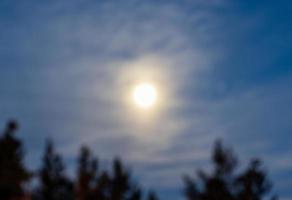 ein verwischen Foto von ein Mond und Silhouette von Bäume im das Dämmerung, nach etwas bearbeitet.