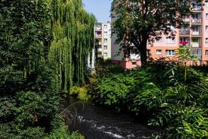 leba Fluss fließend durch Lebork Polen auf ein Sommer- Tag foto