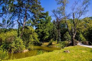 Sommer- Landschaft mit ein Teich Saski Garten Warschau Polen Grün Bäume warm Tag foto