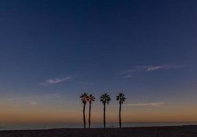 Strand Landschaft Frieden und ruhig Sonnenuntergang und vier Palme Bäume auf das Strand foto