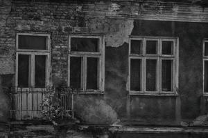 alt ruiniert Haus, und wachsend auf das Fenster von ein klein Baum foto