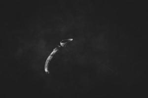 schön mysteriös herbstlich Eichel auf ein schwarz Hintergrund im ein zart Stelle Licht foto