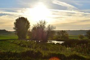 niedrig Sonne auf Sumpfland foto