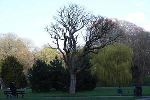 Herrlich Aussicht von Krieg Öffentlichkeit Park und Menschen sind genießen das schön und hell sonnig Tag. Sie sind Ausgaben Tag mit ihr Familien und haben Spaß. Bild war gefangen beim Luton auf 03. April 2023 foto