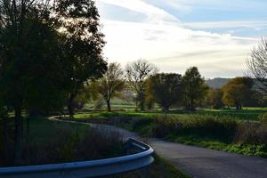 Straße durch das Sumpfland im Herbst foto