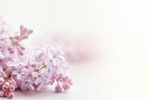 Sanft Fokus Bild von lila Blumen auf Weiß Hintergrund. ai generiert foto