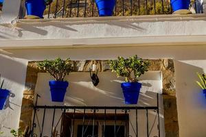 Blau Töpfe mit Blumen auf ein Weiß Gebäude im das alt Stadt, Dorf von alicante Spanien foto