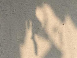 Blätter Schatten Hintergrund auf Beton Mauer Textur, Blätter Baum Geäst Schatten foto