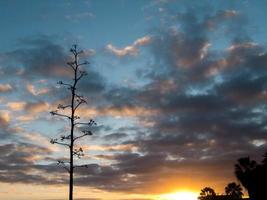 malerische Aussicht auf den Sonnenuntergang foto