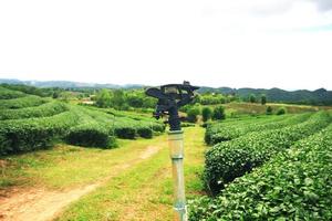 Sprinkler Bewässerung Pflanzen mit Tee Plantage auf das Berg und Wald Hügel im Regen Jahreszeit beim Thailand foto