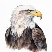 ein Aquarell Illustration von ein kahl Adler Gesicht generativ ai foto