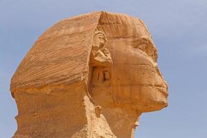 Kopf von großartig Sphinx von Gizeh foto