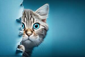 grau Katze ist erschrocken, suchen aus von hinter das zerrissen Papier. Blau Hintergrund. generativ ai foto