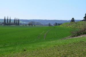 breit Grün Felder foto