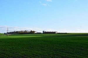 Grün Felder mit ein Bauernhof foto