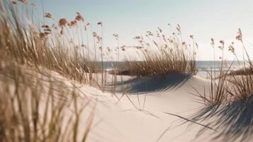 trocken Gras und Sand Hintergrund. Illustration ai generativ foto