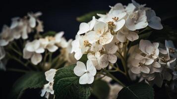 Hortensie Blume Hintergrund. Illustration ai generativ foto