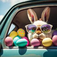 süß Ostern Hase mit Sonnenbrille suchen aus von ein Auto abgelegt mit Ostern Eier, ai generativ foto