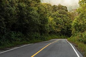 Asphalt Straße mit Autos Vorbeigehen durch das Wald foto