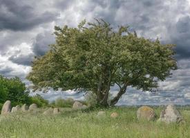 Megalith Grab im Nobbin auf Rügen, baltisch Meer ,mecklenburg-vorpommern Deutschland foto