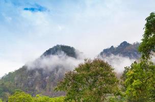 Berg Grün Wald im das Nebel Nord Thailand, tolle Aussicht von Wälder foto