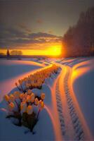 Feld von Tulpen im das Schnee beim Sonnenuntergang. generativ ai. foto