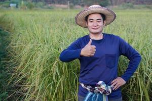 asiatisch Mann trägt Hut, Blau Hemd ist beim Paddy Feld. Daumen oben und stellen Hand auf Taille. fühlt sich zuversichtlich. Konzept Landwirtschaft Beruf. thailändisch Bauer. zufrieden im Getreide. organisch Landwirtschaft. foto