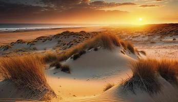 schön Dünen Strand beim Sonnenuntergang, Norden Meer, generieren ai foto