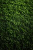 Feld von frisch Grün Gras Textur wie ein Hintergrund, oben schließen oben Sicht. generativ ai. foto