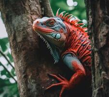 detailliert Porträt von rot Leguan, generativ ai foto