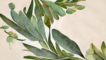 genial Eukalyptus Blätter Grenze, Aquarell Illustration isoliert auf Weiss, Grün Clip Art zum Hochzeit. generativ ai foto