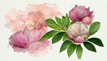 elegant Strauß von Aquarell Blumen, Rosen, Hortensien, Chrysantheme und Eukalyptus Blätter. generativ ai foto