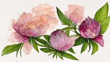 Aquarell Blumen Clip Art, Rosa Pfingstrose, Rose Blume, Hortensie und Eukalyptus Blätter. generativ ai foto