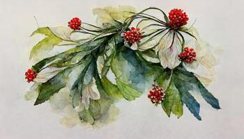Winter Strauß von Weihnachtsstern Blumen und Tanne Geäst auf ein isoliert Weiß Hintergrund, Aquarell. generativ ai Illustration foto