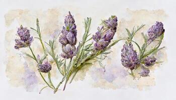 Blumensträuße mit Lavendel Blumen Aquarell Illustration. generativ ai foto