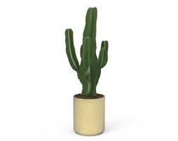Grün Kaktus im ein Gold Topf auf ein Weiß Hintergrund, zum Dekoration und Vorlieben foto