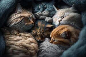ein Gruppe von Katzen alle kuschelte oben zusammen, Schlafen im ein Stapel oder Pflege jeder andere. ai generiert foto