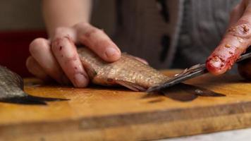 Reinigen und Schneiden von frischem Fisch mit einer Messer-Nahaufnahme foto