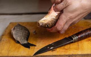 Prozess des Reinigens und Schneidens von frischem lebendem Fisch. foto