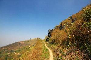 natürlich Fußweg und trocken Wiese auf das Berg beim doi pha Seetang Hügel im Thailand foto