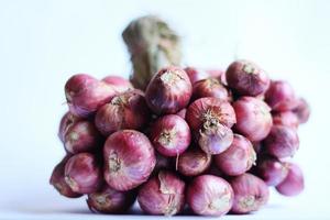 violett Knoblauch Bündel isoliert auf Weiß Hintergrund foto