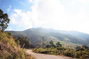 Gelb Zeichen Etikette Warnung von Kurve Straße auf das Berg im Thailand foto