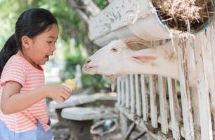 süß Farmer Mädchen Fütterung Baby Ziege mit Flasche von Milch. foto