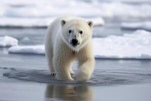 Baby Polar- Bär auf schmelzen Eis erstellt mit generativ ai Technologie. foto