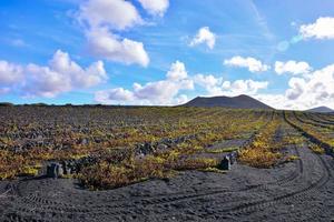 szenisch ländlich Landschaft foto